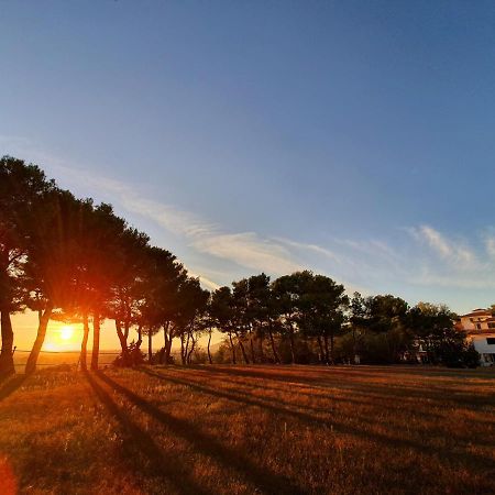 Poggio Active Hotel San Giovanni Rotondo Kültér fotó
